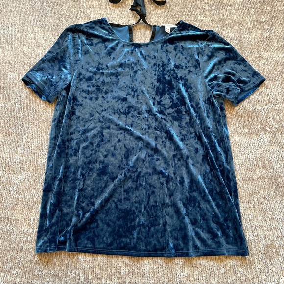 Beachlunchlounge Blue Velvet Short Sleeve Top - Picture 4 of 7